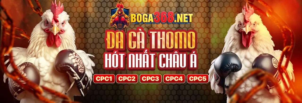 Tin tức vlxx88 khuyến mãi 2026